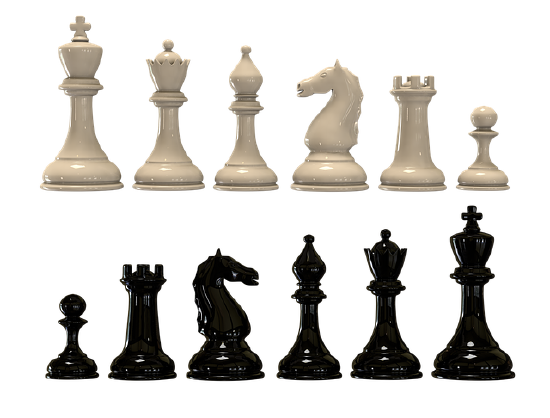 A row of white chess pieces above a row of black chess pieces.
