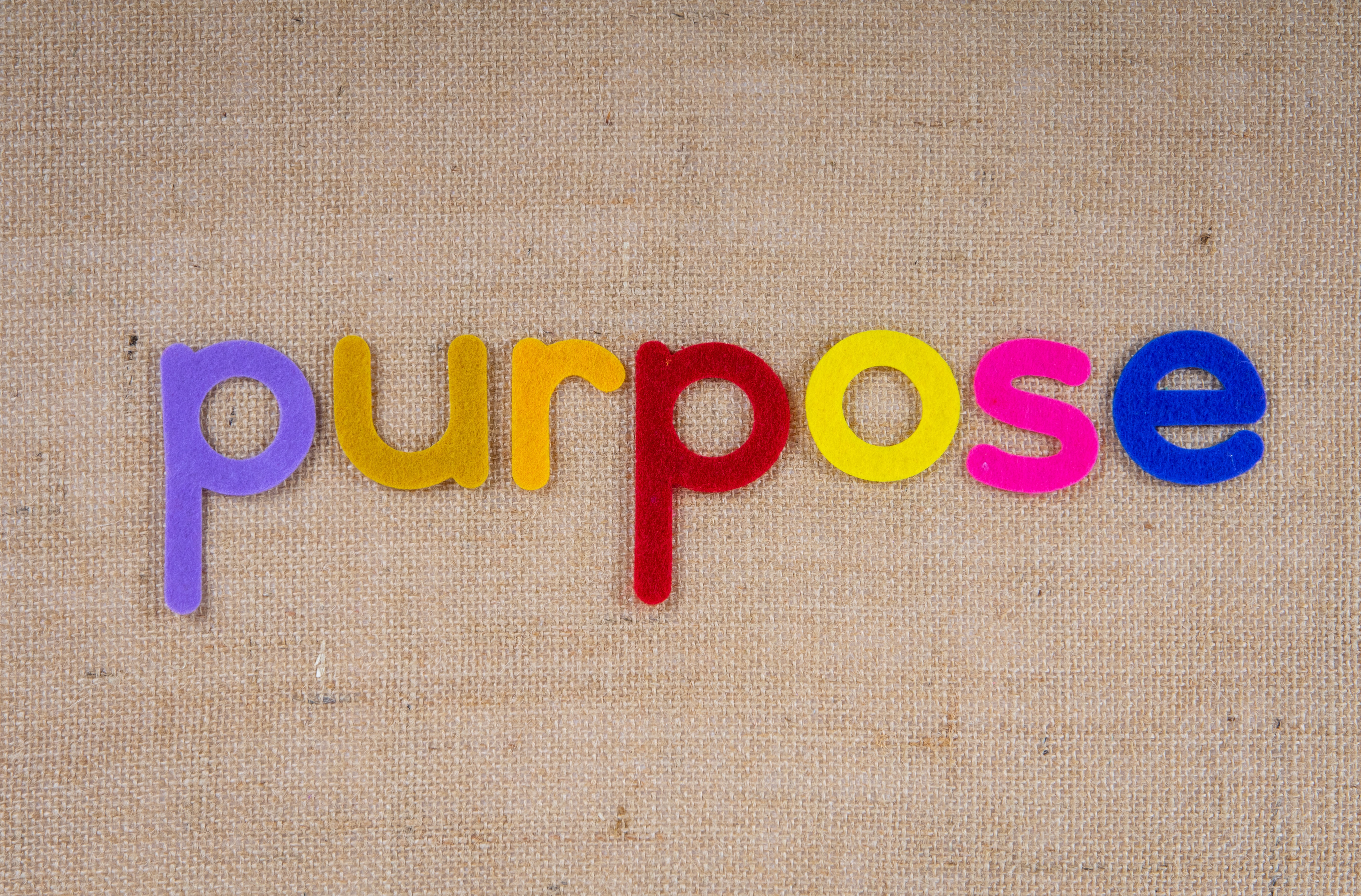 The word purpose in felt letters, each of a different color, against a beige background.