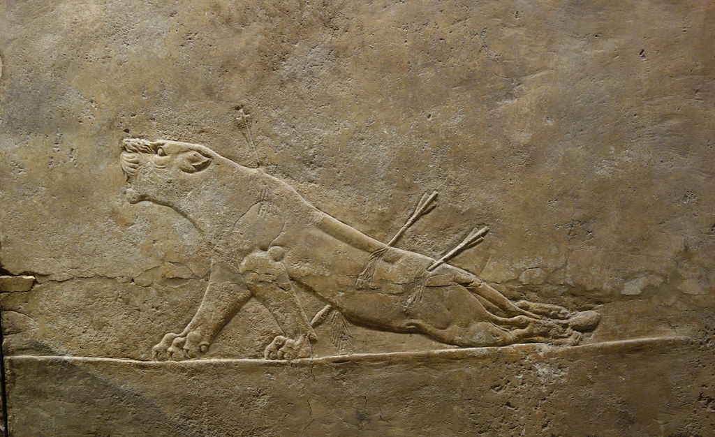 Lion Hunts of Ashurbanipal, dying lioness