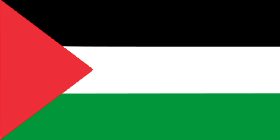 Flag of Palestine black, white, green, and red.