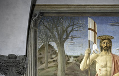 Piero, La Resurrección, detalle de árboles áridos