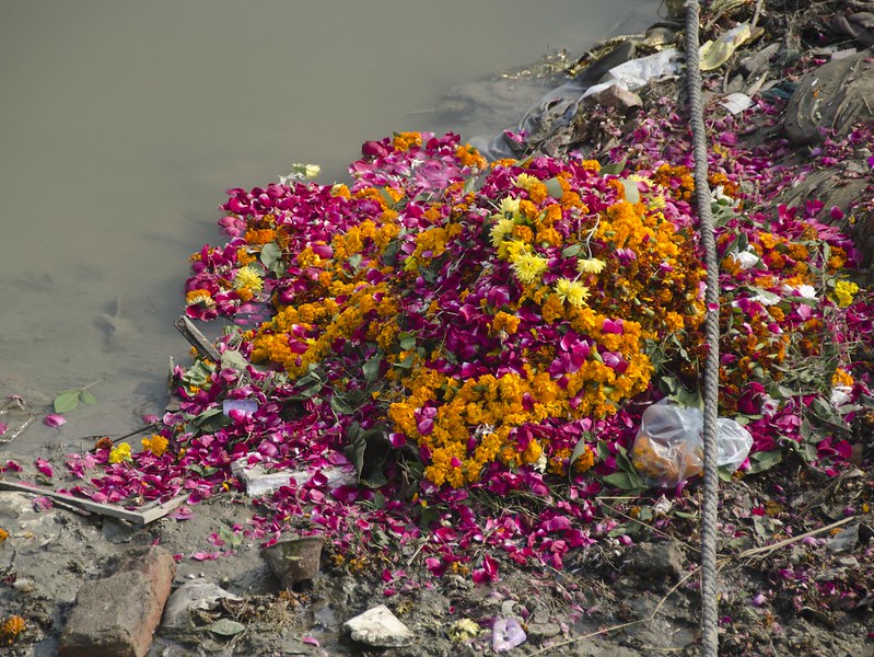 Flores desechadas, Varanasi (Banaras) India, 2011 (foto: Eric Parker, CC BY-NC 2.0)