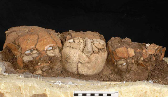 Skulls with plaster and shell from the Pre-Pottery Neolithic B, 6,000-7,000 B.C.E., found at the Yiftah'el archeological site in the Lower Galilee, Israel
