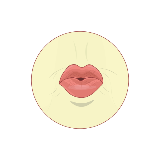 Shape of the mouth when pronouncing the long vowel Waw "oo" 