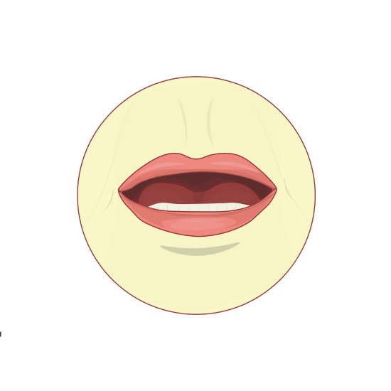 Shape of the mouth when pronouncing the long vowel Yaa "ee" 