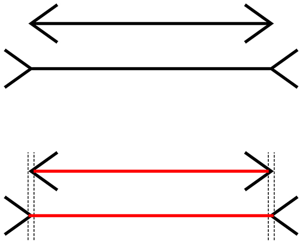 Зверху дві лінії, одна зі стрілками на кінці, а інша з відкритими V-подібними кінцями. Лінія з V-подібними кінцями здається довшою. Знизу ті ж дві лінії, пунктирними лініями відзначають кінцеві точки самих ліній, демонструючи, що вони однакової довжини.