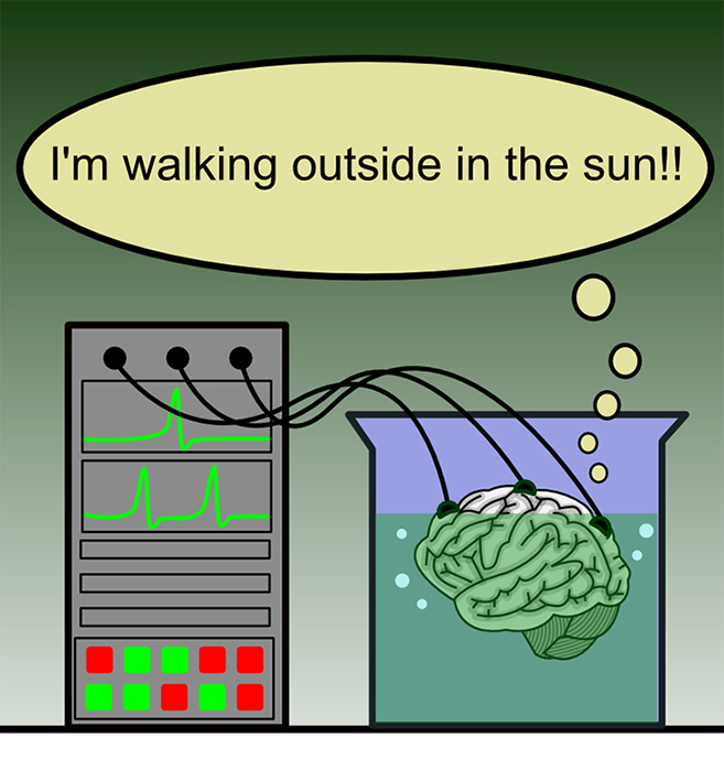 Ескіз мозку, що плаває в наповненому рідиною склянці, з'єднаного з комп'ютерною консоллю декількома електродами. Думка міхура, що піднімається з мозку, говорить «Я йду на вулиці на сонці!!»