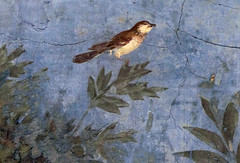 Jardín Pintado, Villa de Livia, detalle con ave