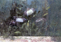 Painted Garden, Villa of Livia, detail with poppies