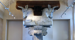 View of Capital of a column from the audience hall of the palace of Darius I, c. 510 B.C.E.