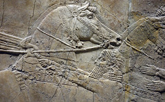 Lion Hunts of Ashurbanipal, bridle tightened