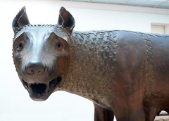 Capitoline She-wolf, detail
