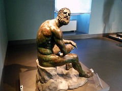 Apolonio, Boxer en reposo, vista lateral