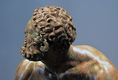 Apolonio, Boxer en Resto, detalle con dorso de cabeza