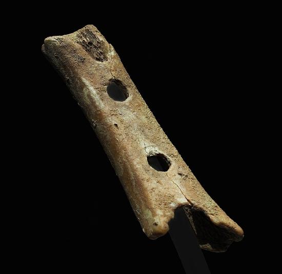 A small fragment of the oldest known flute in existence made from bone. 60,000 years old