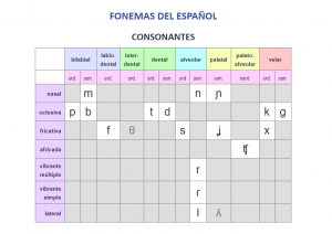 Tabla del alfabeto fonético internacional enseñando solo las consonantes que se encuentran en en Español