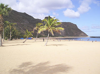 A sandy beach, some palm trees, and people hanging on the beach 