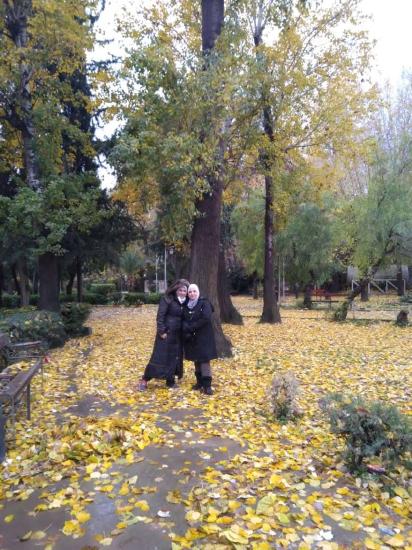 Fall in Damascus, two ladies are standing under the tree in the middle of the park, and the yellow leaves are covering the ground.